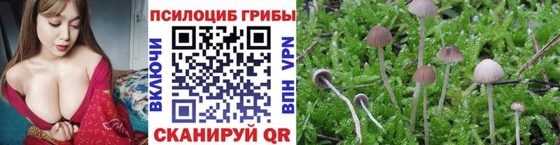 Купить  Зеленокумск  Псилоцибиновые грибы прущие грибы 